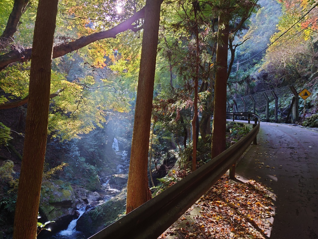 偉大な自然と伝説が残る牛尾山ハイキング | 山科旅感 | 京都・山科の観光